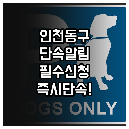 인천 동구 주정차 단속 알림 신청 안..