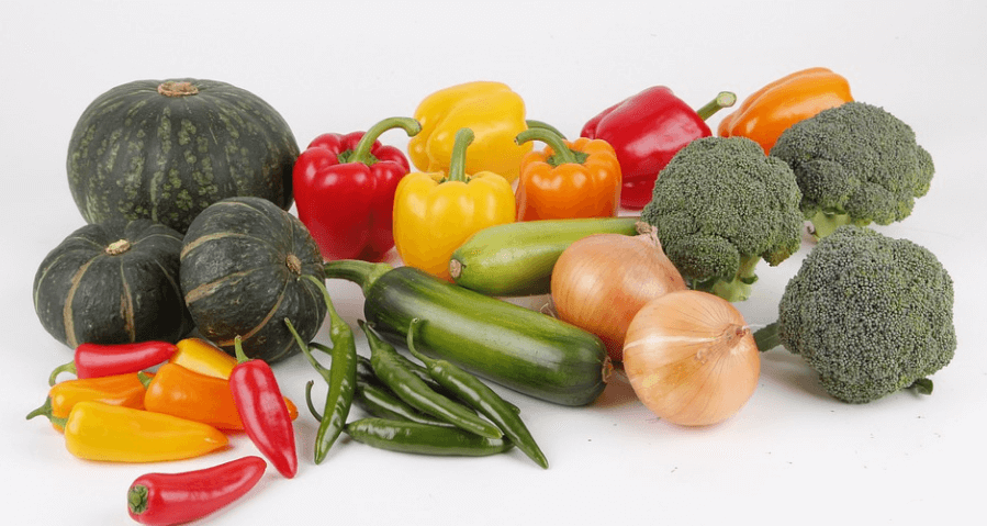 애호박 사진 - 5