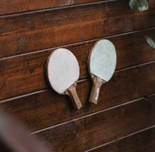 pingpong