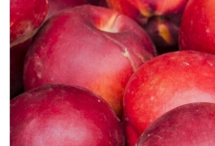 천도복숭아효능