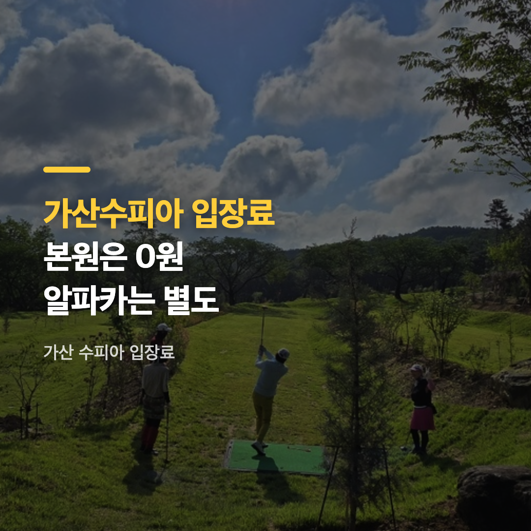 가산 수피아 입장료 없이 즐기는 핑크뮬리 언덕 전경