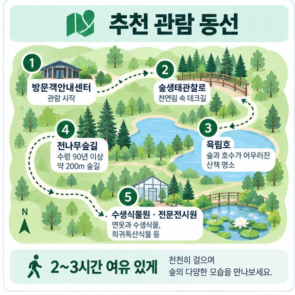 숲생태관찰로 육림호 전나무숲길 전문전시원 순서로 국립수목원 추천 관람 동선을 보여주는 이미지