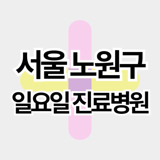 서울노원구_일요일진료병원_썸네일