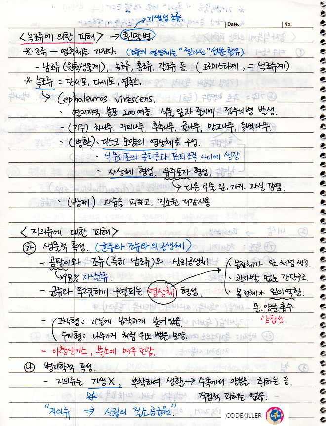 녹조류에 의한 피해&#44; 지의류에 의한 피해