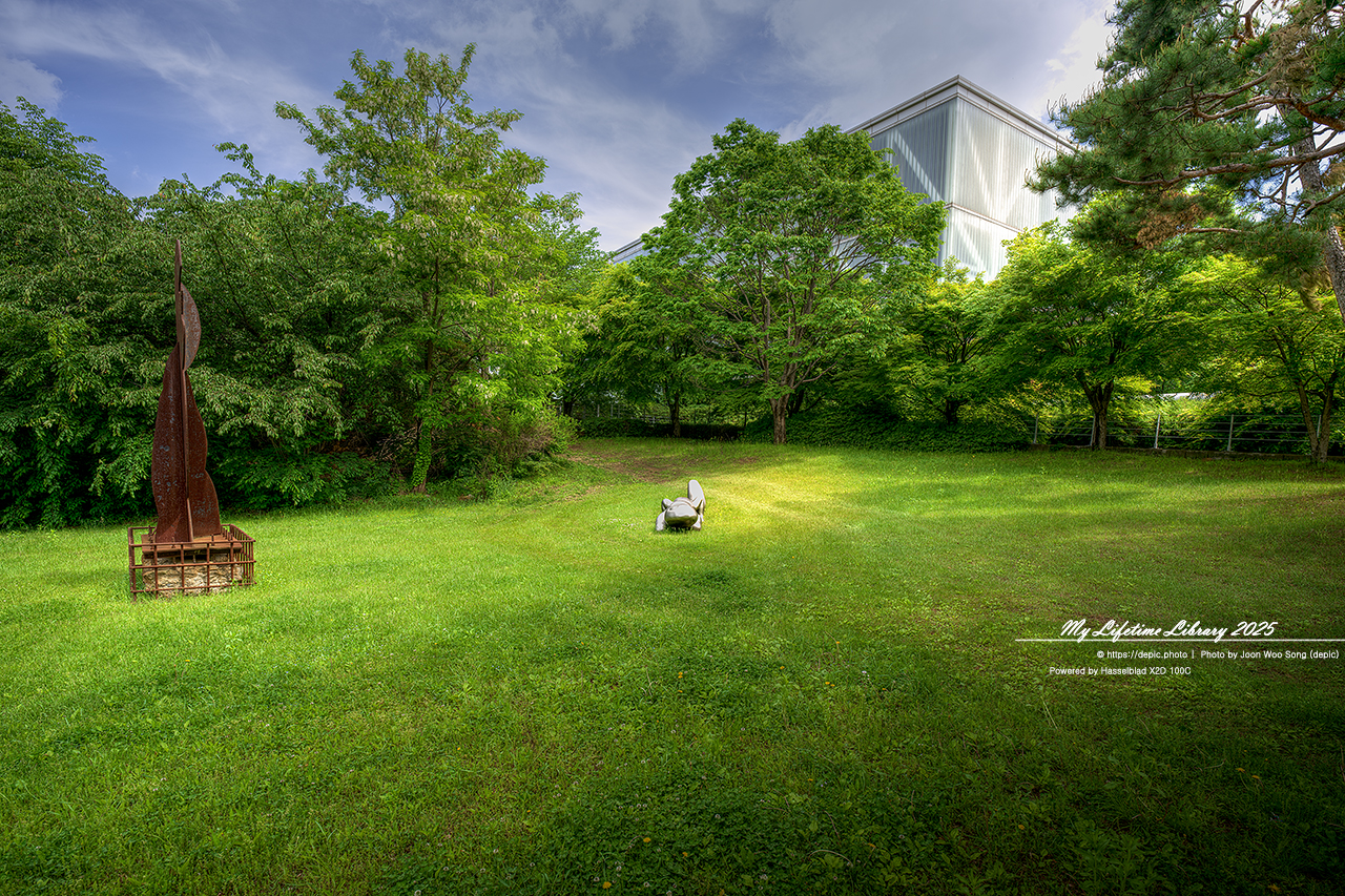 #봄 #캠퍼스 #대학교 #서울대 #서울 #오후 #서울대학교