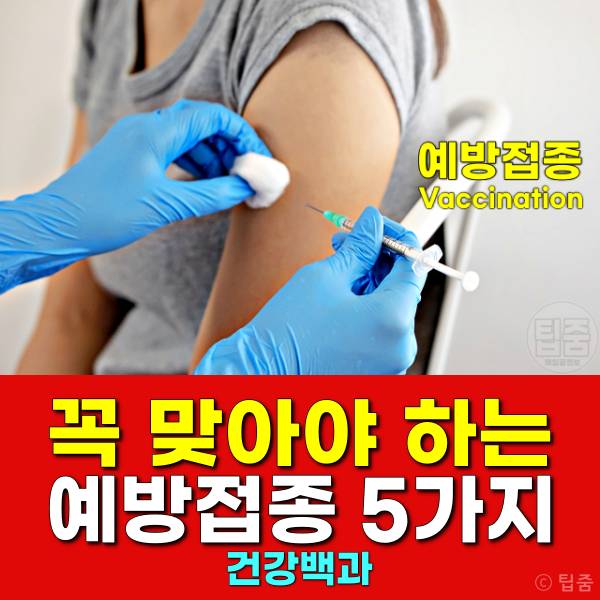 독감 폐렴 b형간염 유행성출혈열 코로나 예방접종 시기 부작용 비용 무료