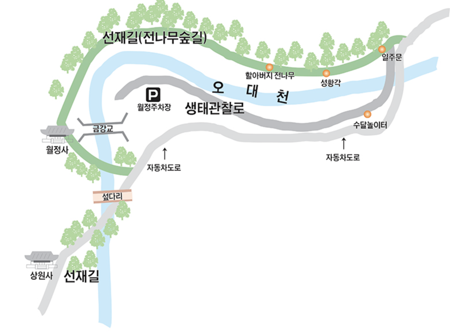 전나무숲길-불교신문