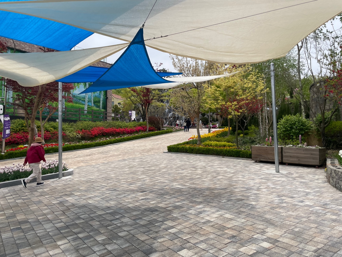 용인 자작나무숲 베툴라 대형 베이커피 카페