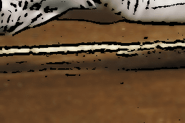 Tile 13