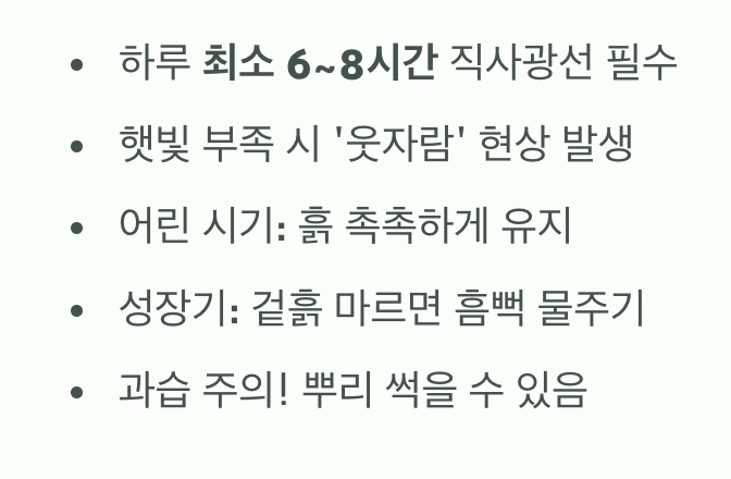 쑥쑥 자라는 비결, 햇살과 수분