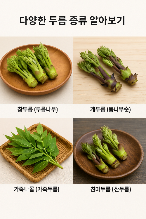 두릅 종류 알아보기