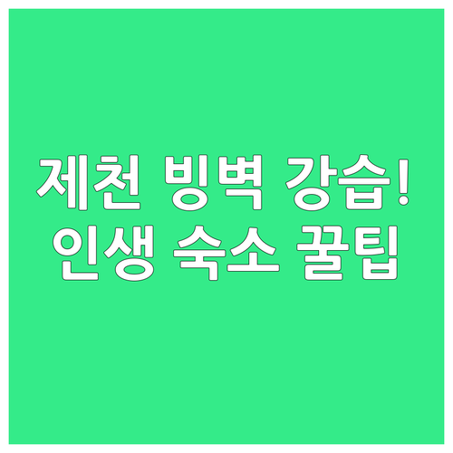 제천 빙벽체험장 강습 정보와 야경 보..