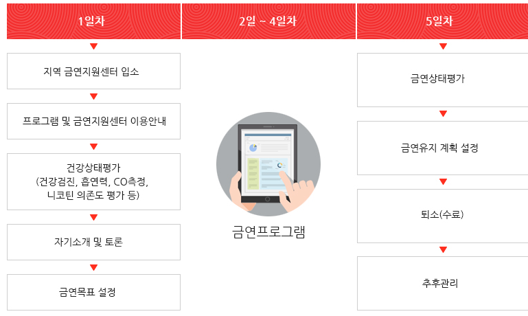 치료형 진행절차