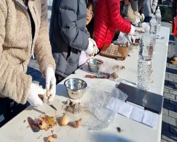 남당항 새조개 축제_22