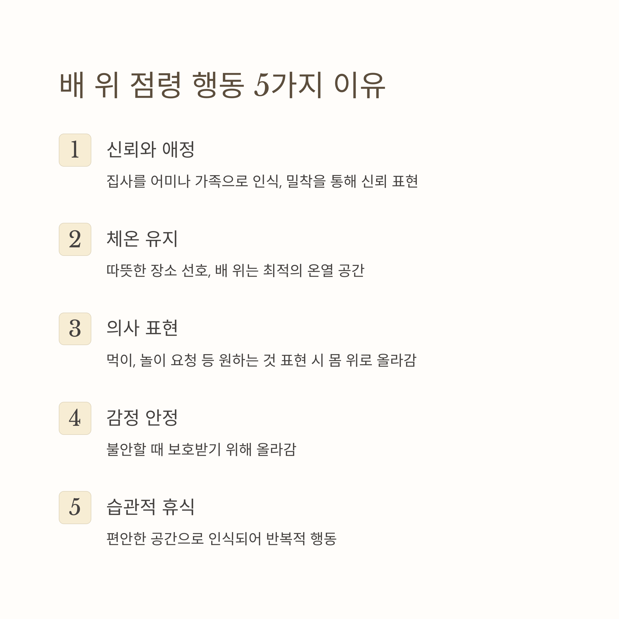배 위 점령 행동 5가지 이유
