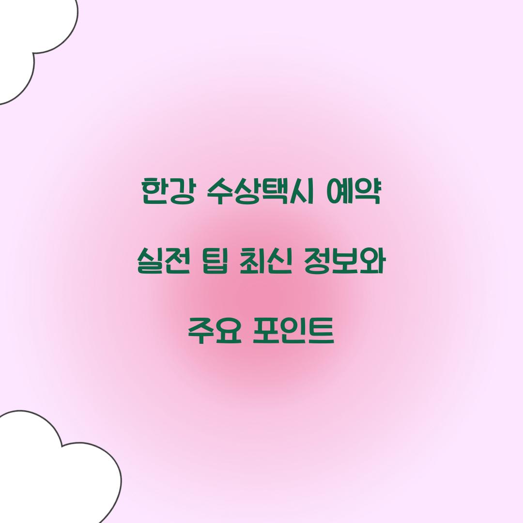 한강 수상택시 예약