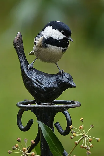 조선시대 산후조리 풍습 여성 건강 동의보감_6