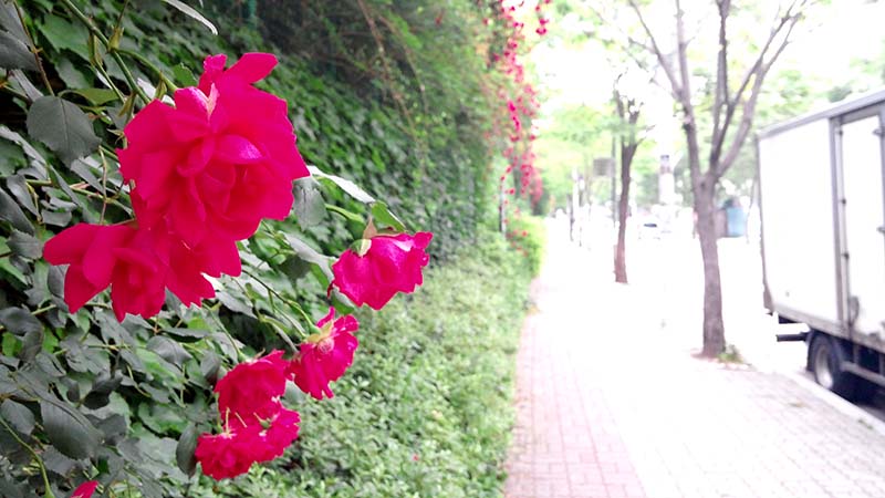 북한산둘레길 다락원길