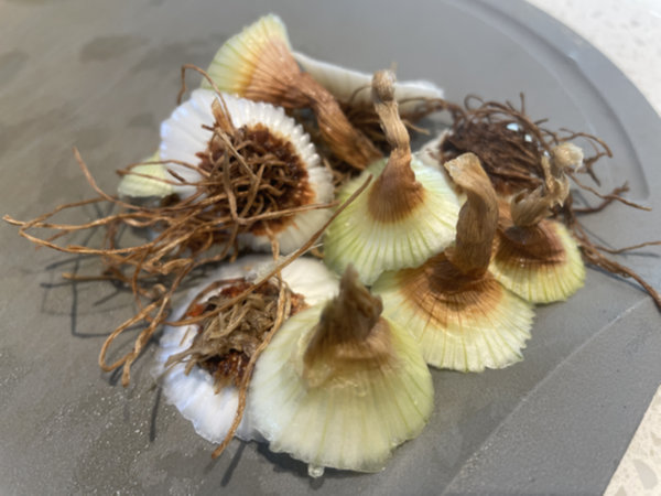 양파 윗동, 밑동 살짝 자르기