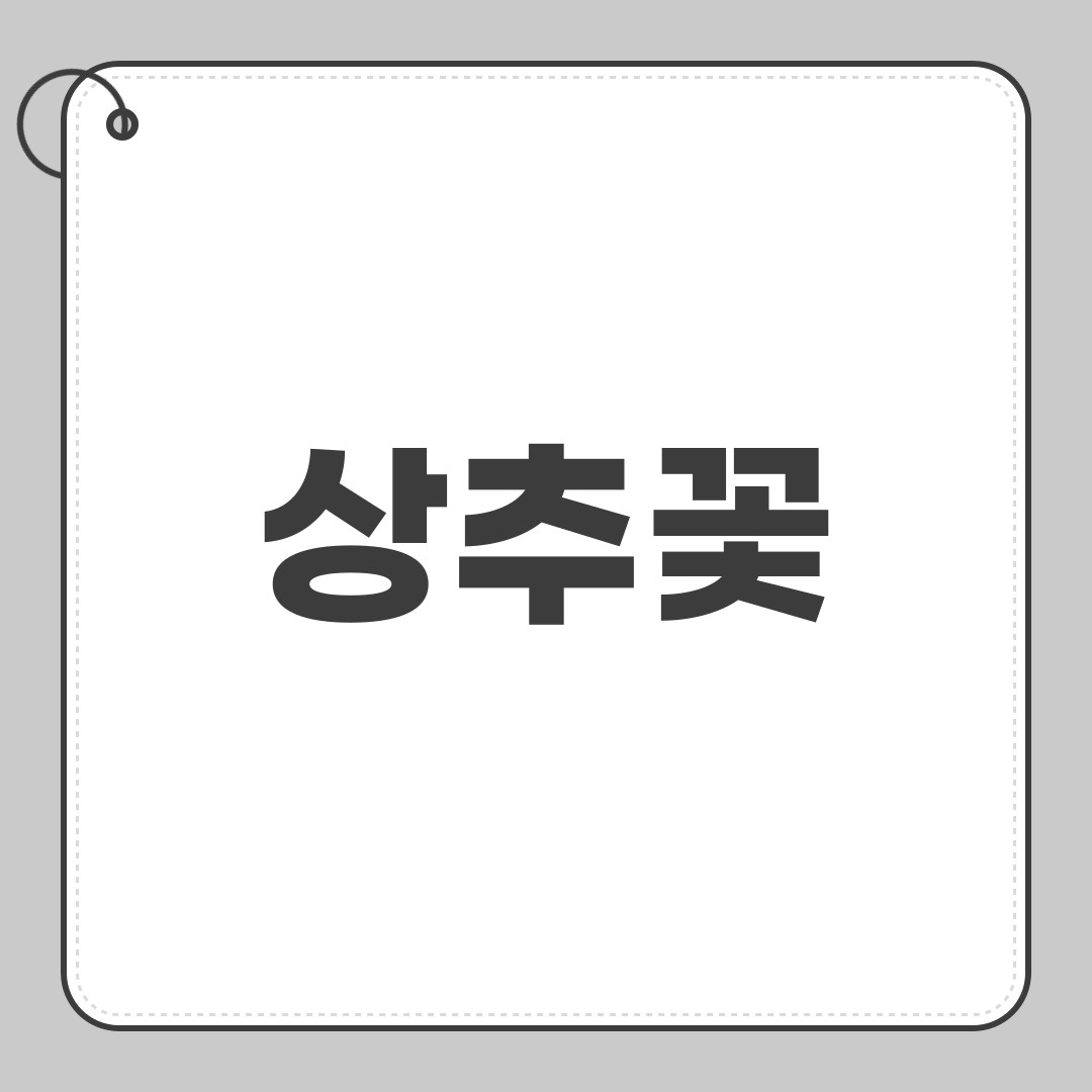 상추꽃