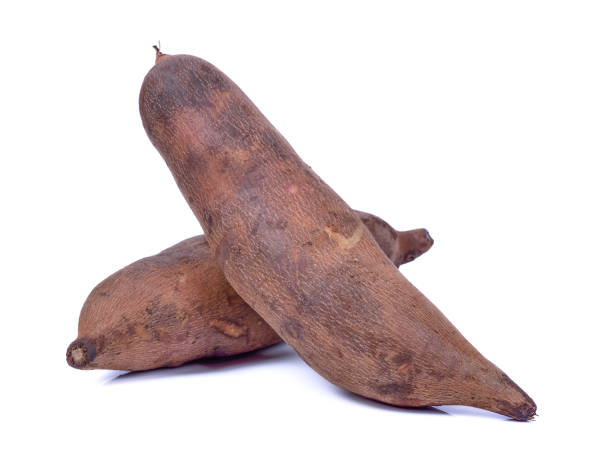 야콘 효능 10가지와 부작용 및 먹는법 및 보관법