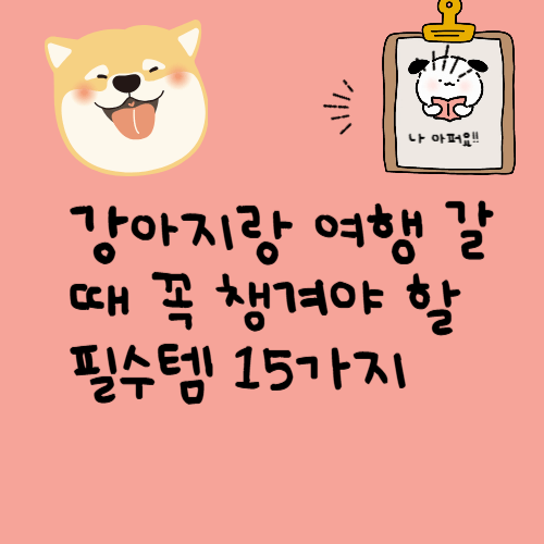 강아지랑 여행 갈 때 꼭 챙겨야 할 필수템 15가지