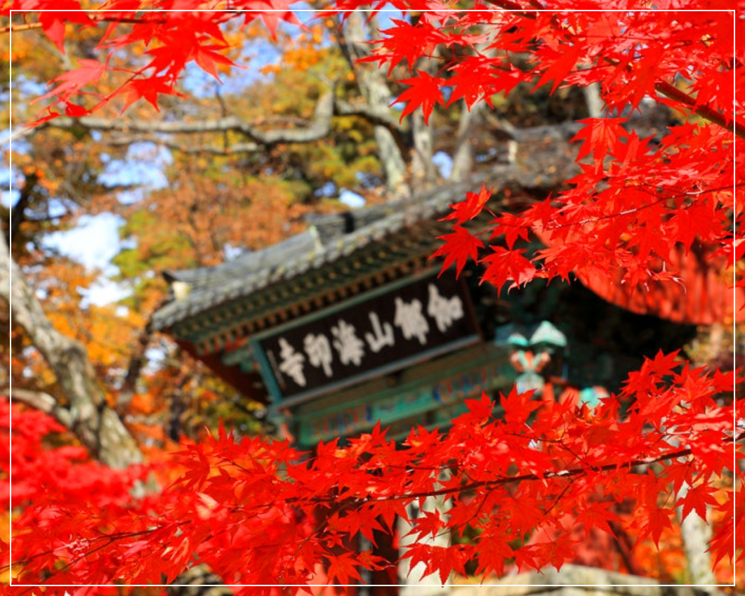 단풍-명소-10