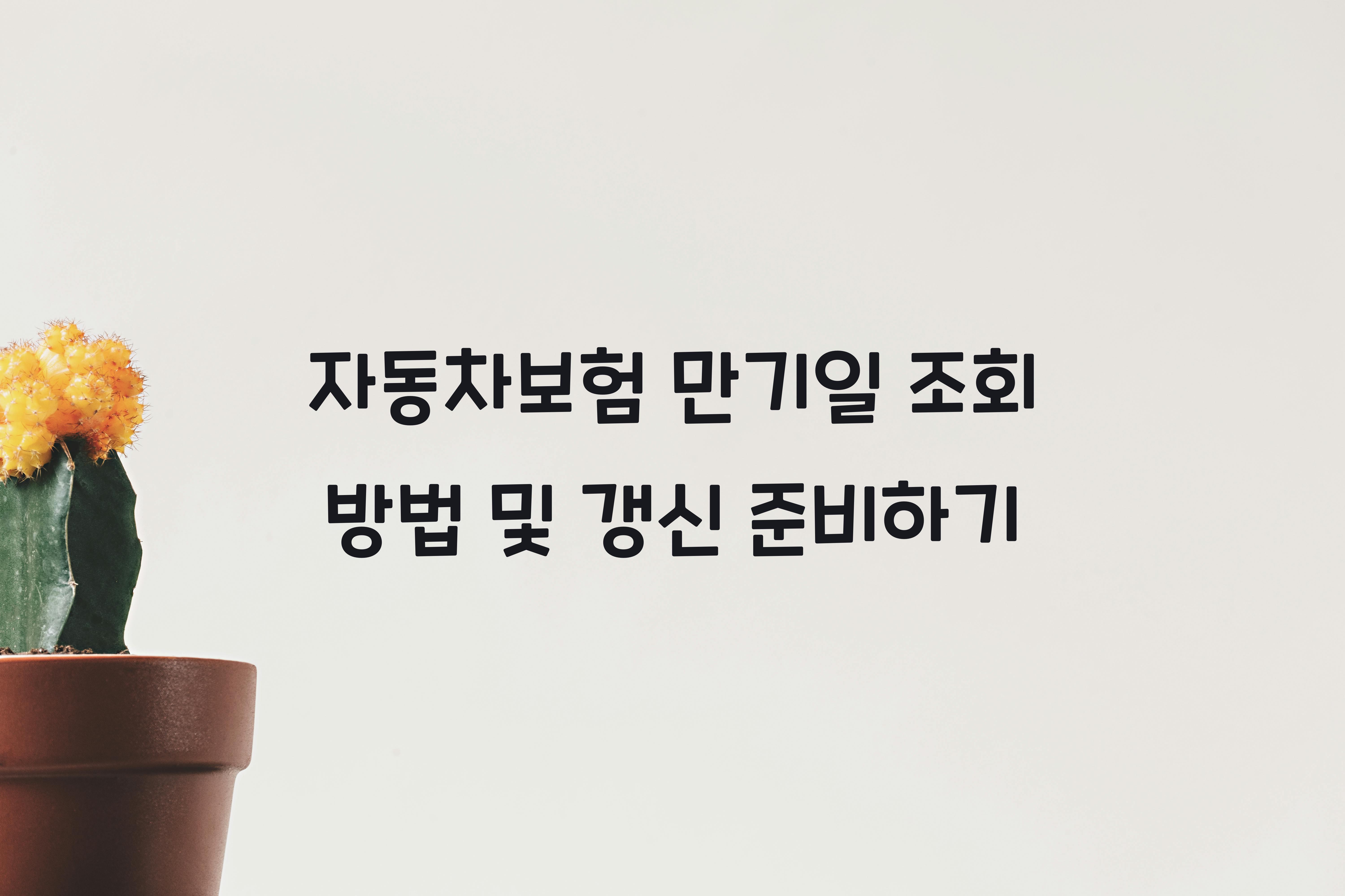 자동차보험 만기일 조회 방법