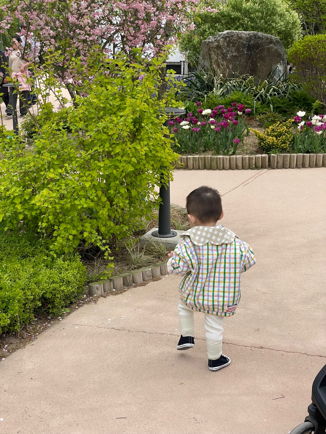 용인 자작나무숲 베툴라 대형 베이커피 카페
