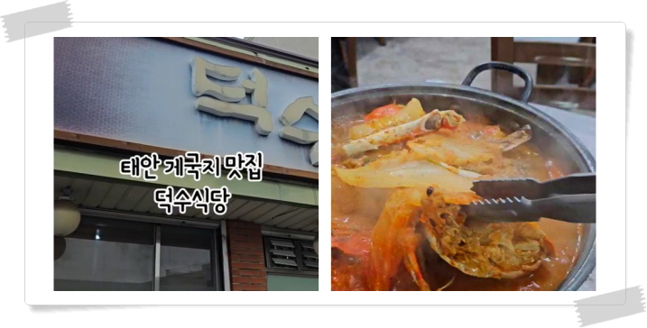 전현무계획2 태안 암꽃게간장게장 우럭젓국 게국지 후기