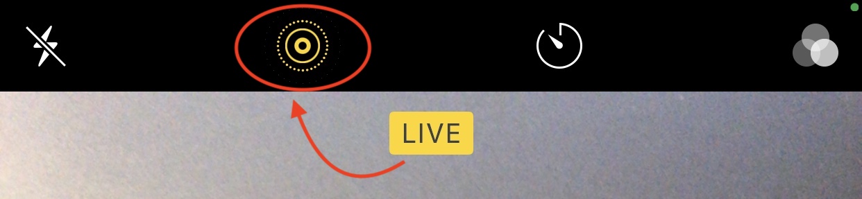 라이브 포토 온
