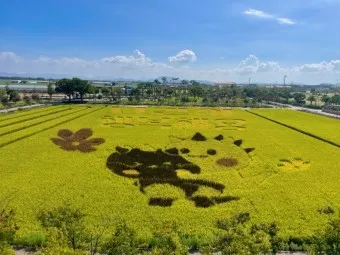김제 가볼만한곳 베스트10 현지인 추천 필수코스_24