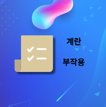 계란 부작용 및 주의사항