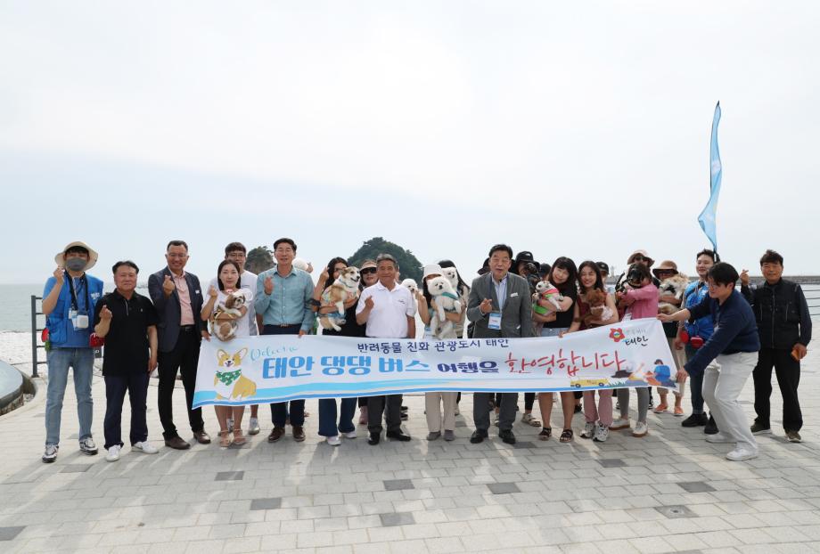 반려견 애견 동반 당일치기 여행 태안