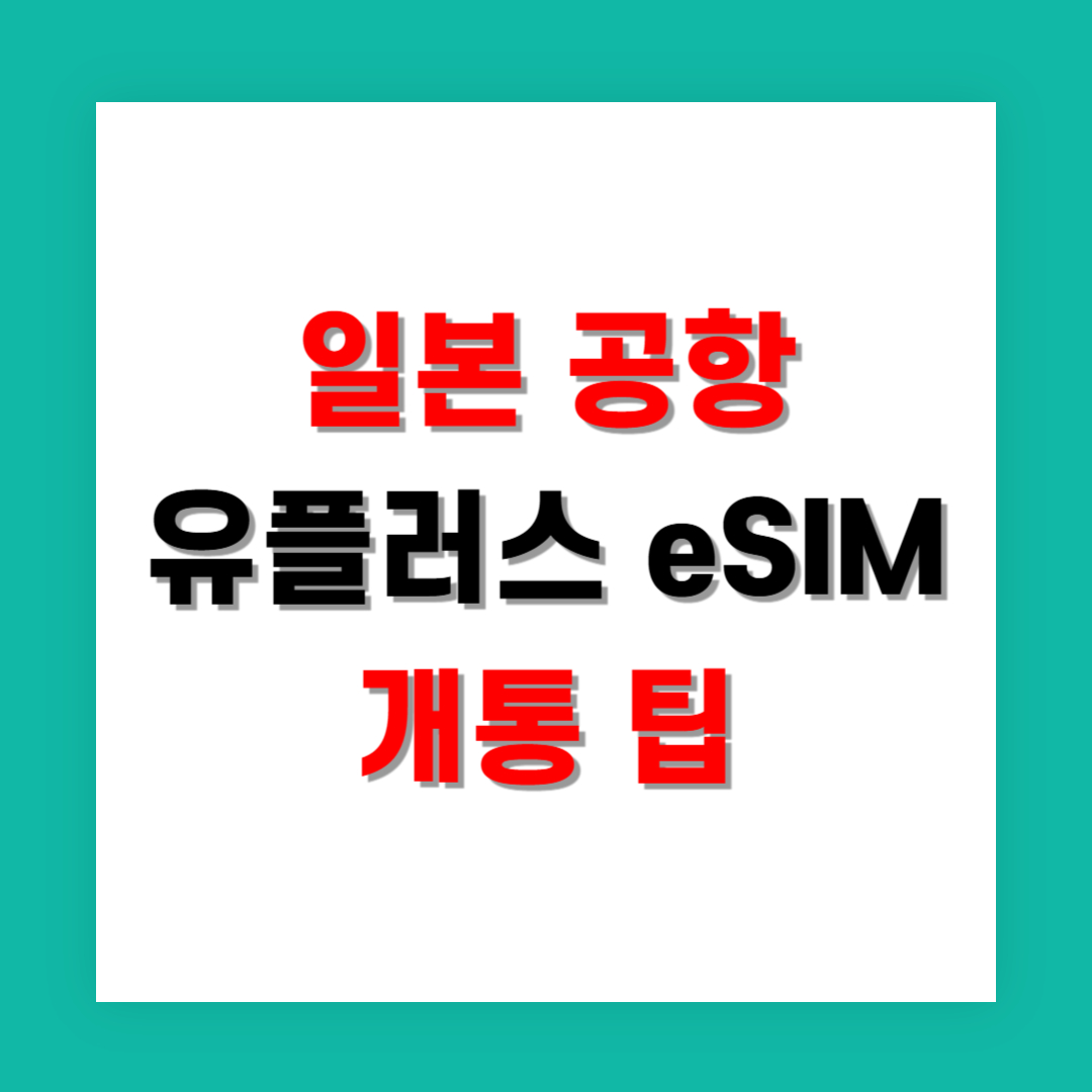일본 공항에서 바로 되는 유플러스 eSIM 개통 팁