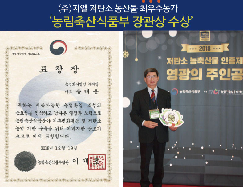 [6시 내고향] 나주 방울토마토 택배주문 정보