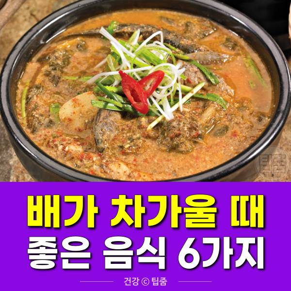 배가 차가울때 좋은 음식,따뜻한 성질 음식,팁줌