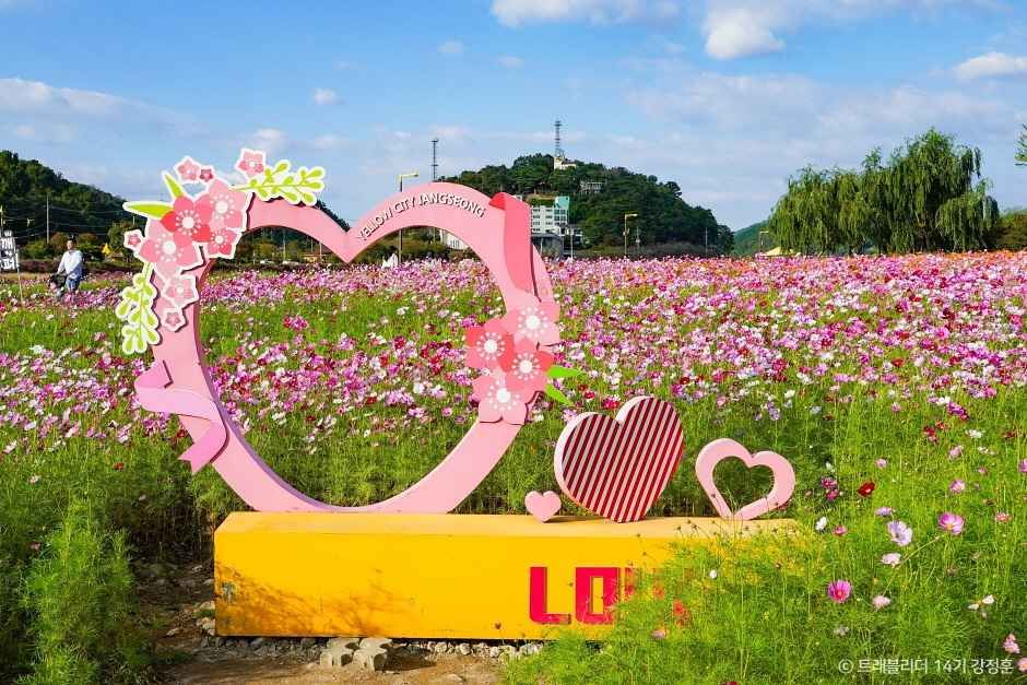 장성 가볼만한곳 베스트10