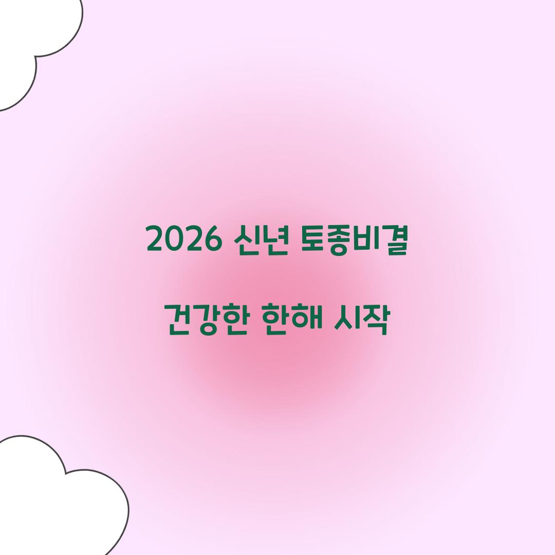 2026 신년 토종비결