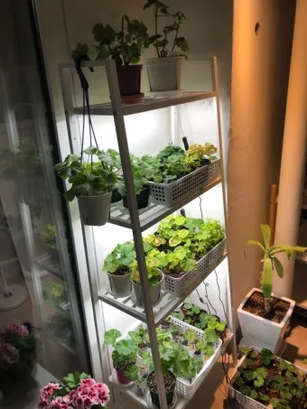 타이머 세팅 자동점등 소등루틴 식물등사용 습관 만들기 편리한 관리_7