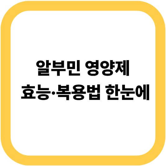 알부민 영양제 추천 — 효능부터 부작용·복용법·음식·수치까지 한눈에 정리