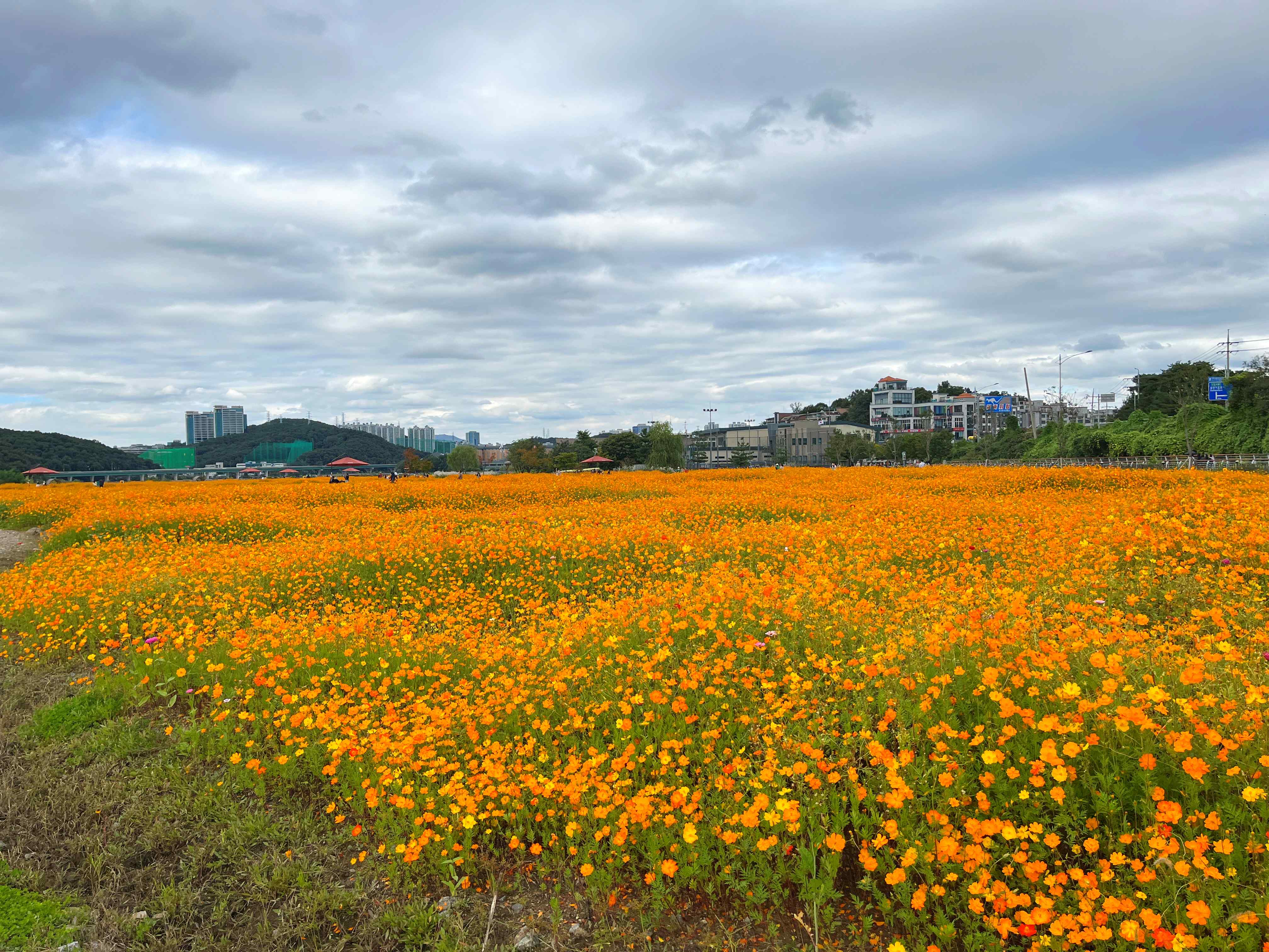 용인 기흥 호수공원