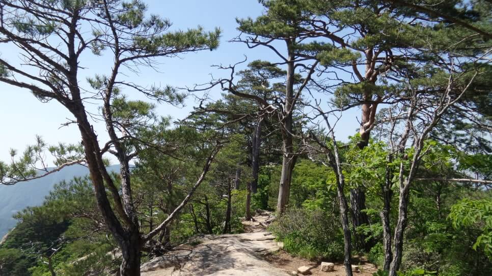 100대 명산 등산하기 마흔여섯번째 단양 도락산 암릉 구간과 기암괴석&amp;#44; 소나무 조망이 우수하며&amp;#44; 도락산 정상에서의 탁 트인 경관이 매력적