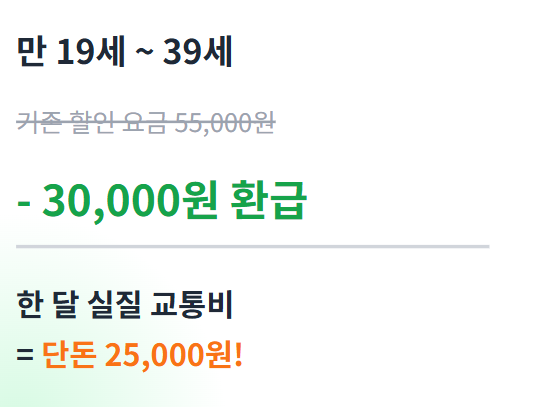 기후동행카드 3만원환급