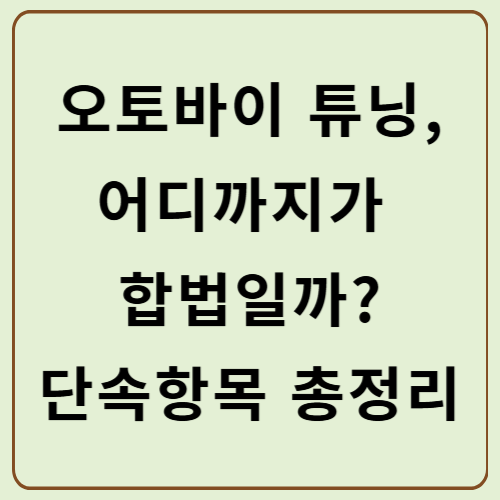 오토바이 튜닝, 단속 항목 총정리