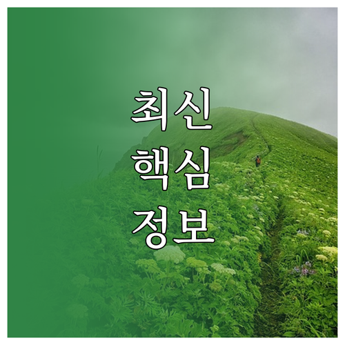 잃어버린 스마트워치 개인 정보 보호!..