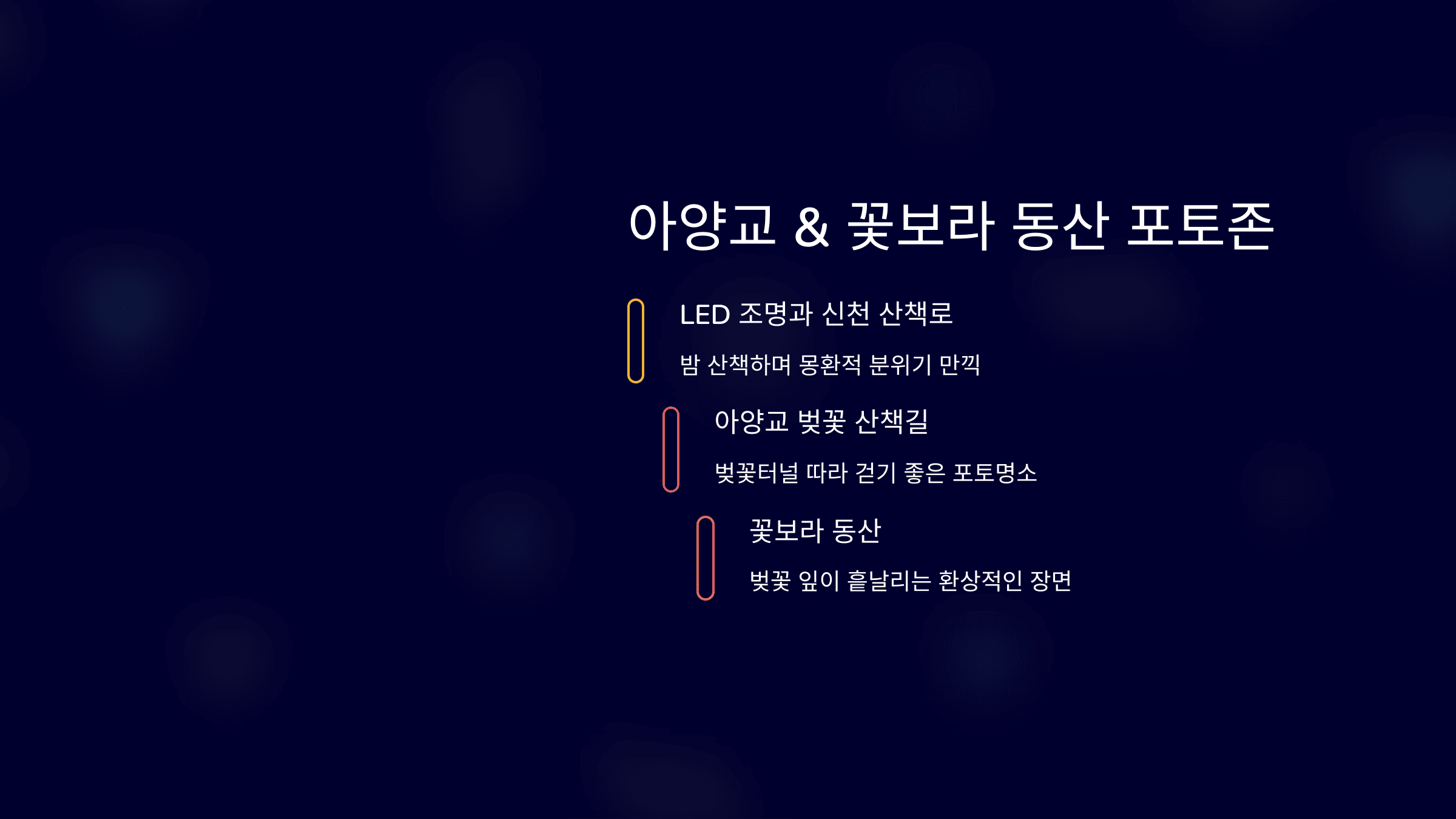 2025 대구 봄축제 완벽 가이드! 벚꽃부터 먹거리, 포토존까지 총정리