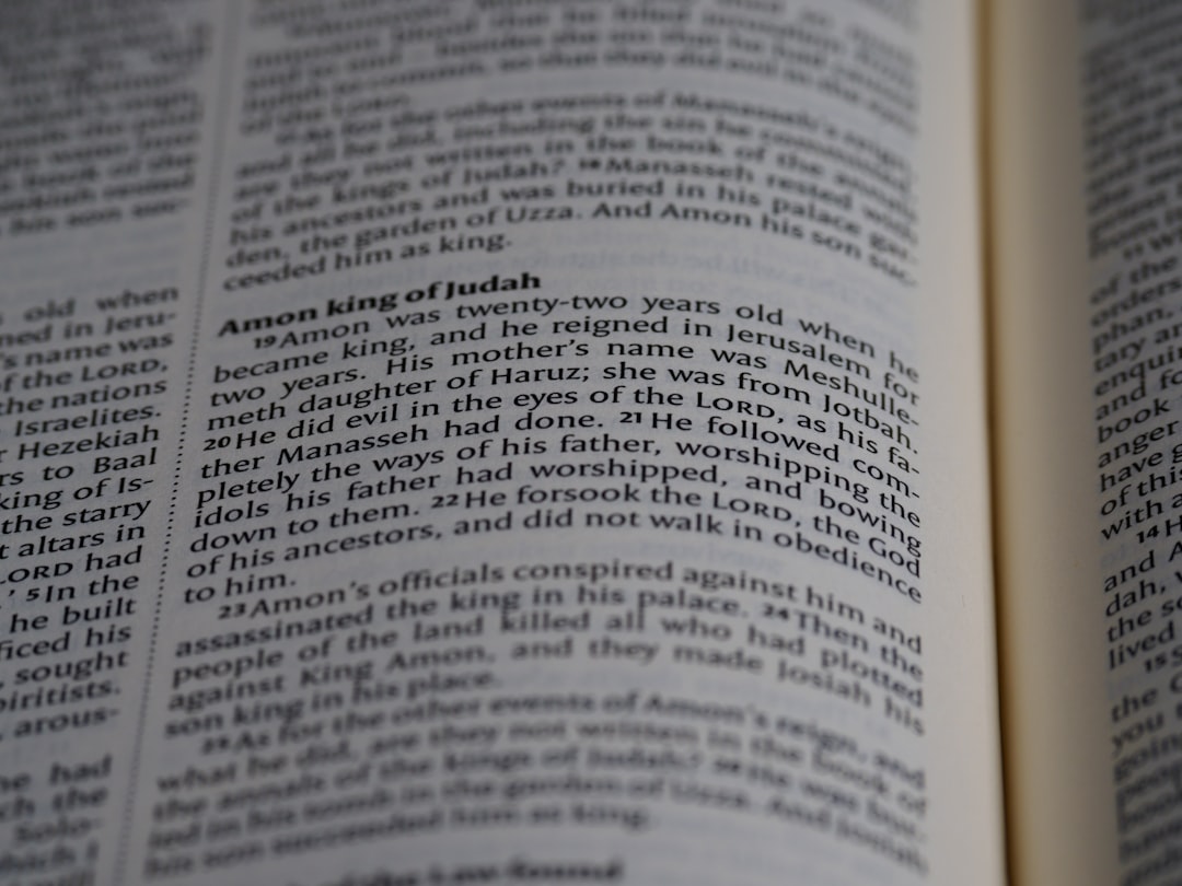 '신용사면'의 영어 번역인 'credit rehabilitation'을 추천합니다.