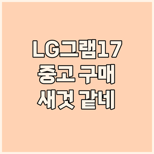 LG 그램 17 11세대 i5 중고