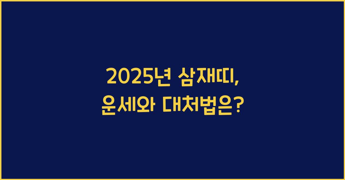 2025년 삼재띠